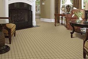 carrollton pattern carpet
