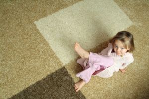 carrollton plush carpet
