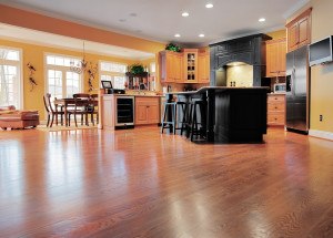 guide to choosing flooring