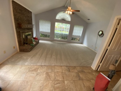 carrollton plush carpet